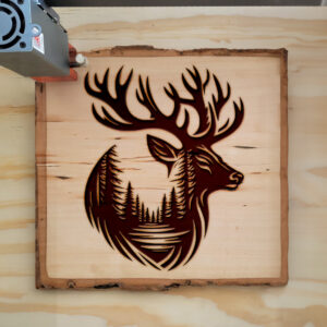 467155_wood-laser-1.jpg
