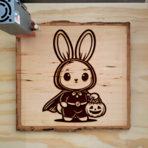 467179_wood-laser-1.jpg