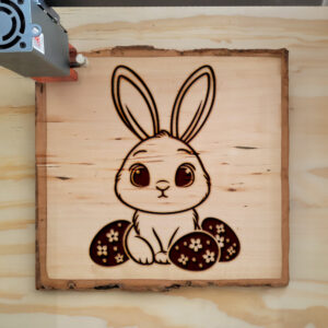 467183_wood-laser-1.jpg