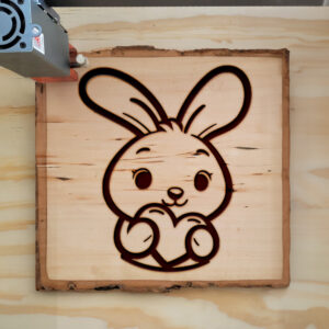 467197_wood-laser-1.jpg