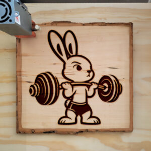 467199_wood-laser-1.jpg