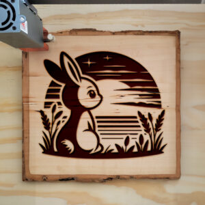 467205_wood-laser-1.jpg