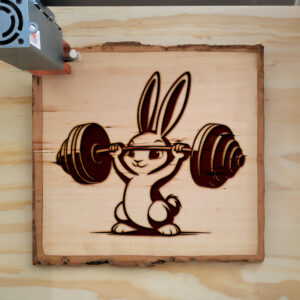 467227_wood-laser-1.jpg
