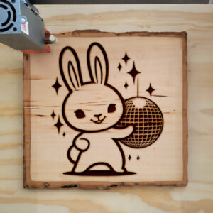 467303_wood-laser-1.jpg
