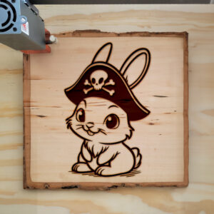 467323_wood-laser-1.jpg