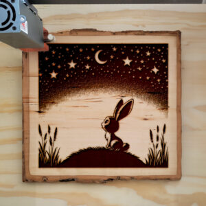 467420_wood-laser-1.jpg