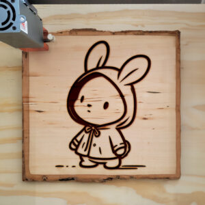 471977_wood-laser-1.jpg