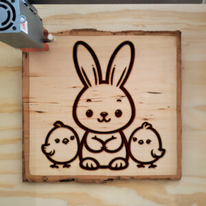 471979_wood-laser-1.jpg