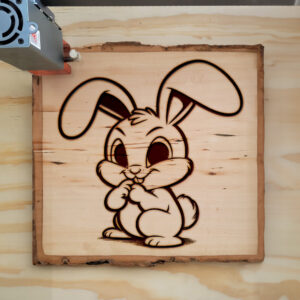 471995_wood-laser-1.jpg