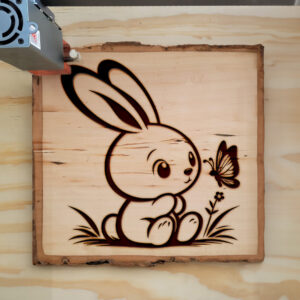 472057_wood-laser-1.jpg