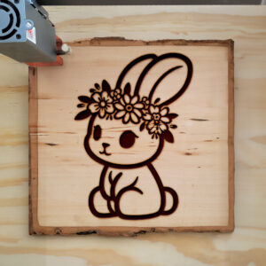 472069_wood-laser-1.jpg