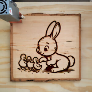 472104_wood-laser-1.jpg