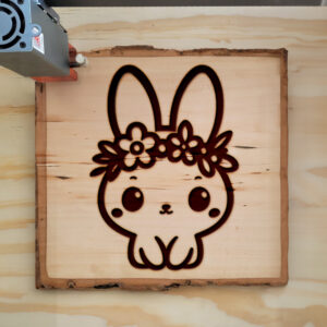 472106_wood-laser-1.jpg