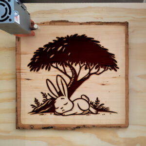 472120_wood-laser-1.jpg