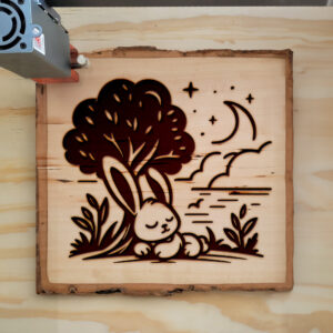 472124_wood-laser-1.jpg