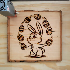 472128_wood-laser-1.jpg