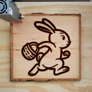472146_wood-laser-1.jpg