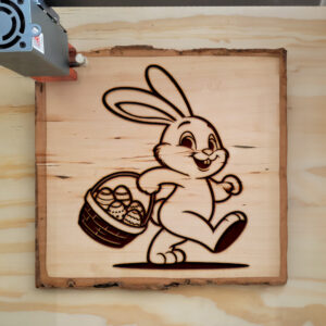 475107_wood-laser-1.jpg