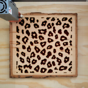 478407_wood-laser-1.jpg