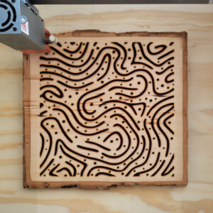 478514_wood-laser-1.jpg