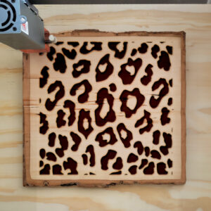 478518_wood-laser-1.jpg