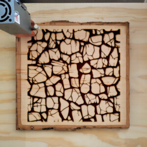 478563_wood-laser-1.jpg