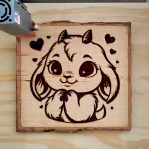 496363_wood-laser-1.jpg