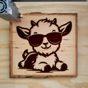 496404_wood-laser-1.jpg