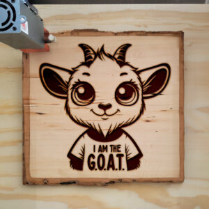 496563_wood-laser-1.jpg