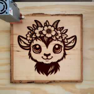 496569_wood-laser-1.jpg
