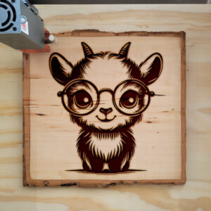 496585_wood-laser-1.jpg