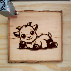 496589_wood-laser-1.jpg