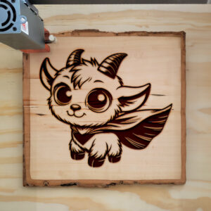 496595_wood-laser-1.jpg