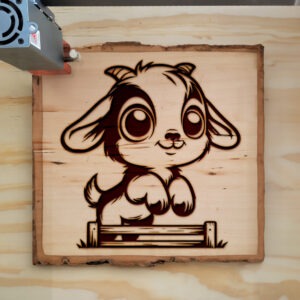 496599_wood-laser-1.jpg