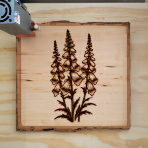 497822_wood-laser-1.jpg
