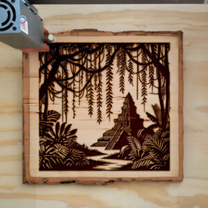 497839_wood-laser-1.jpg