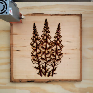 497841_wood-laser-1.jpg