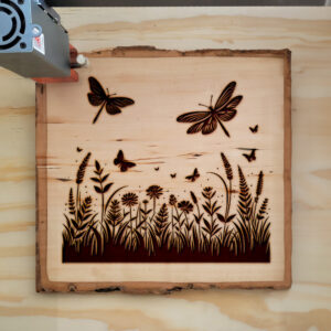 497847_wood-laser-1.jpg