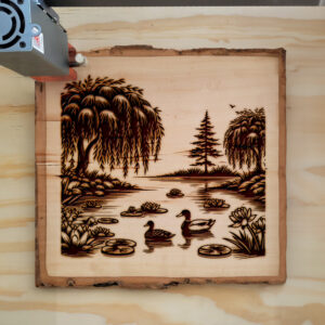 497851_wood-laser-1.jpg