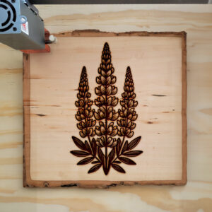 497897_wood-laser-1.jpg