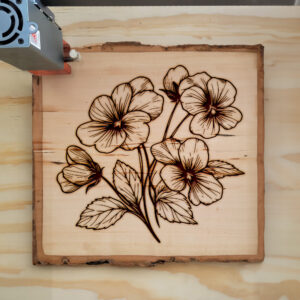 497900_wood-laser-1.jpg