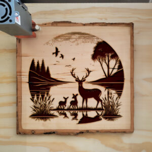 497917_wood-laser-1.jpg
