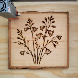 497926_wood-laser-1.jpg