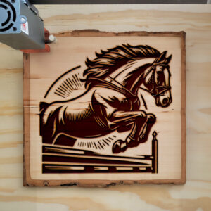 497957_wood-laser-1.jpg