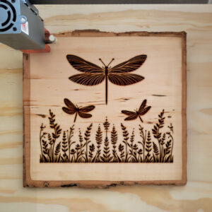 497959_wood-laser-1.jpg