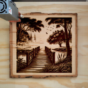 497963_wood-laser-1.jpg