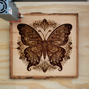 497969_wood-laser-1.jpg