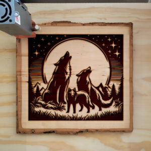 497971_wood-laser-1.jpg