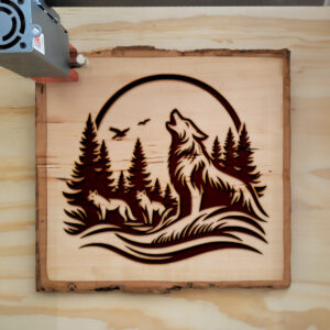 497989_wood-laser-1.jpg