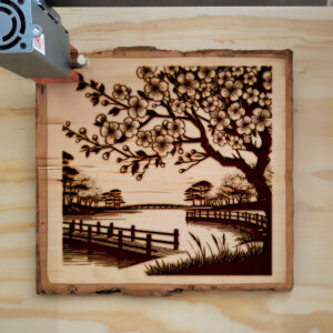 498011_wood-laser-1.jpg